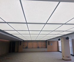 Bespoke Ceiling LED Light Panel